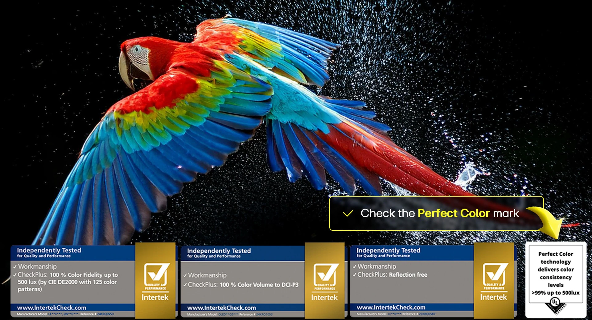 An image of a colorful parrot in flight, showing the color volume and fidelity capabilities with the 2025 LG G5 OLED TV.